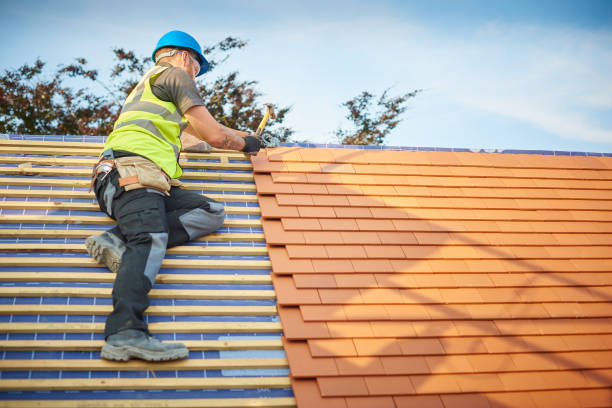 Best Roof Ventilation Installation  in Alsip, IL